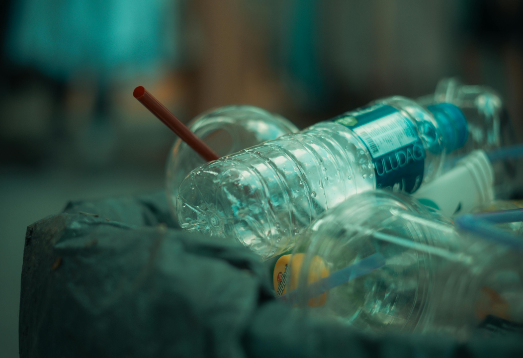 Queensland single-use plastics ban guide for sustainable packaging alternatives