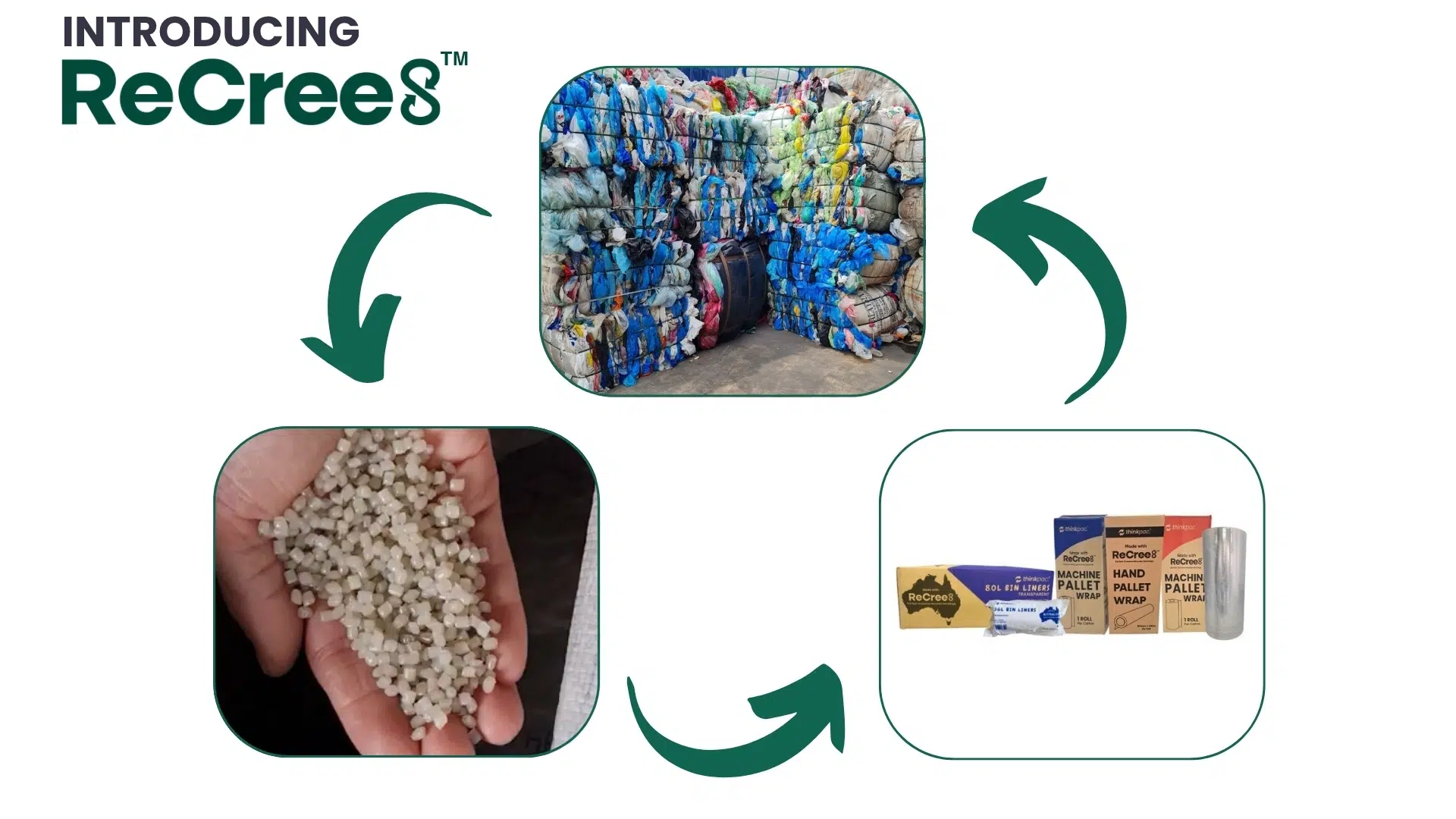 thinkpac at ReGen Expo 2025 ReCree8 circular economy packaging process