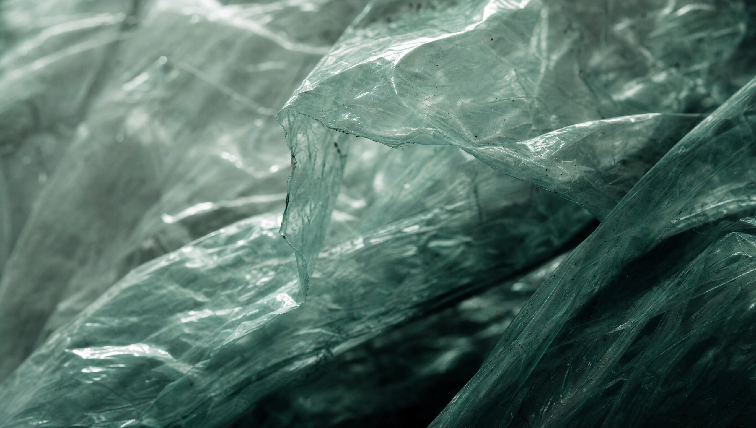 Compostable dog waste bags Australia and PCR dog waste bag development